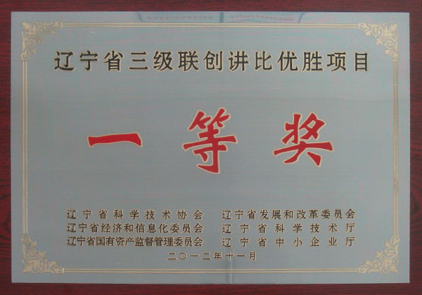 辽宁省三级联创“讲比”优胜项目一等奖