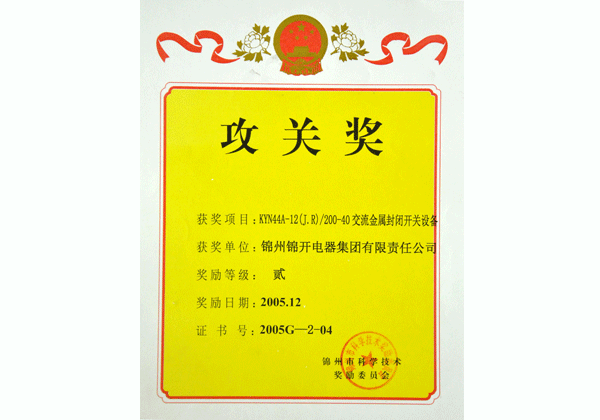 攻关奖11